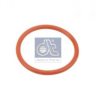 RENAULT 5003065203 Seal Ring
